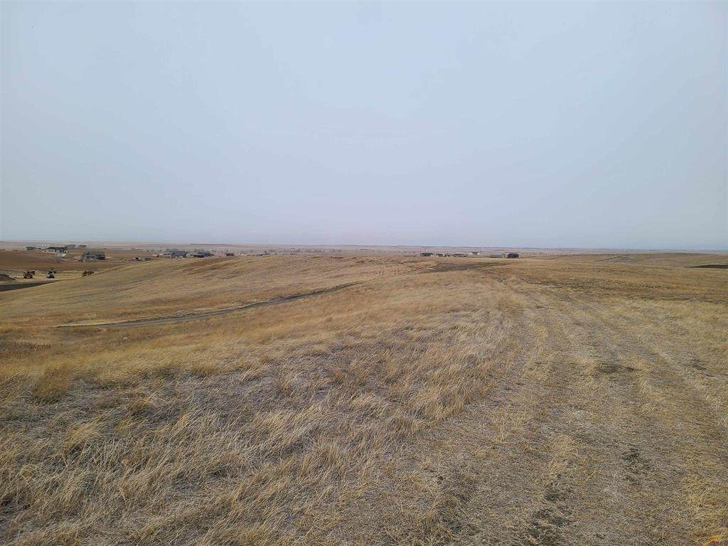 TBD High Bluff Drive - Photo 1