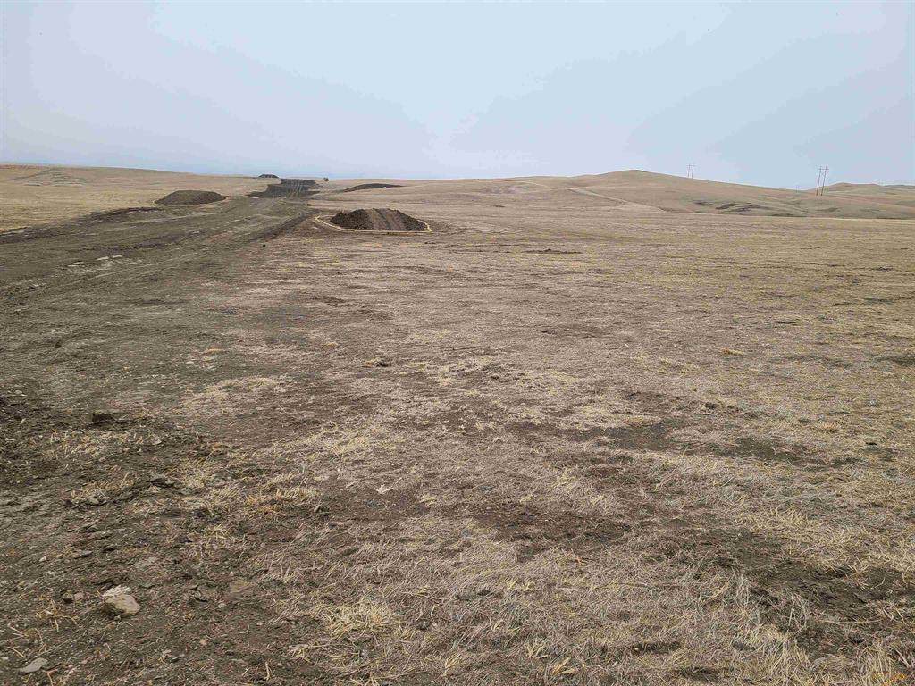 TBD High Bluff Drive - Photo 1
