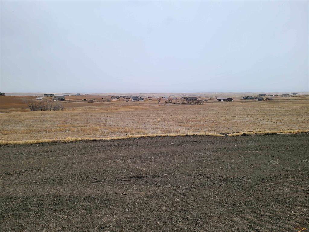 TBD High Bluff Drive - Photo 1