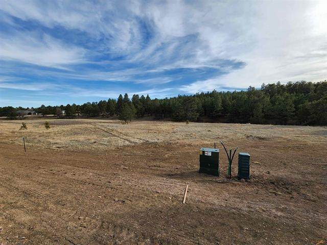 TBD Frontier Loop - Photo 1