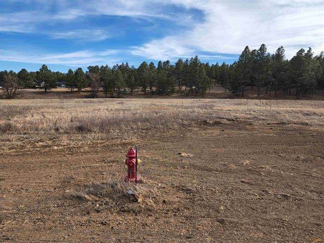 TBD Frontier Loop - Photo 1