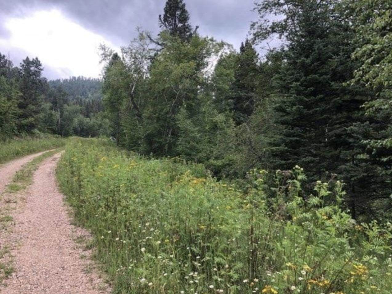 20693 Toboggan Hill Road - Photo 1