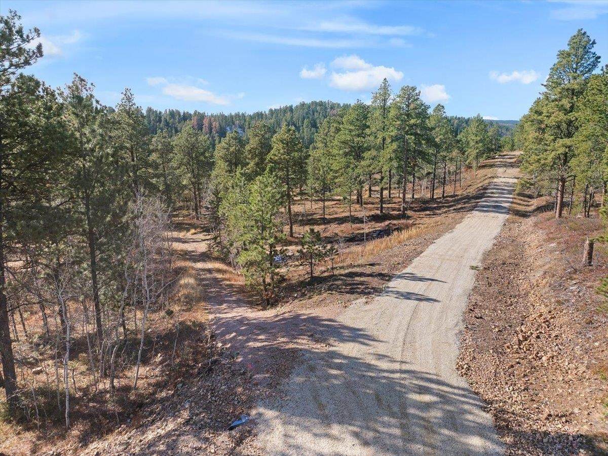 Lot 2 Last Chance Trail - Photo 1