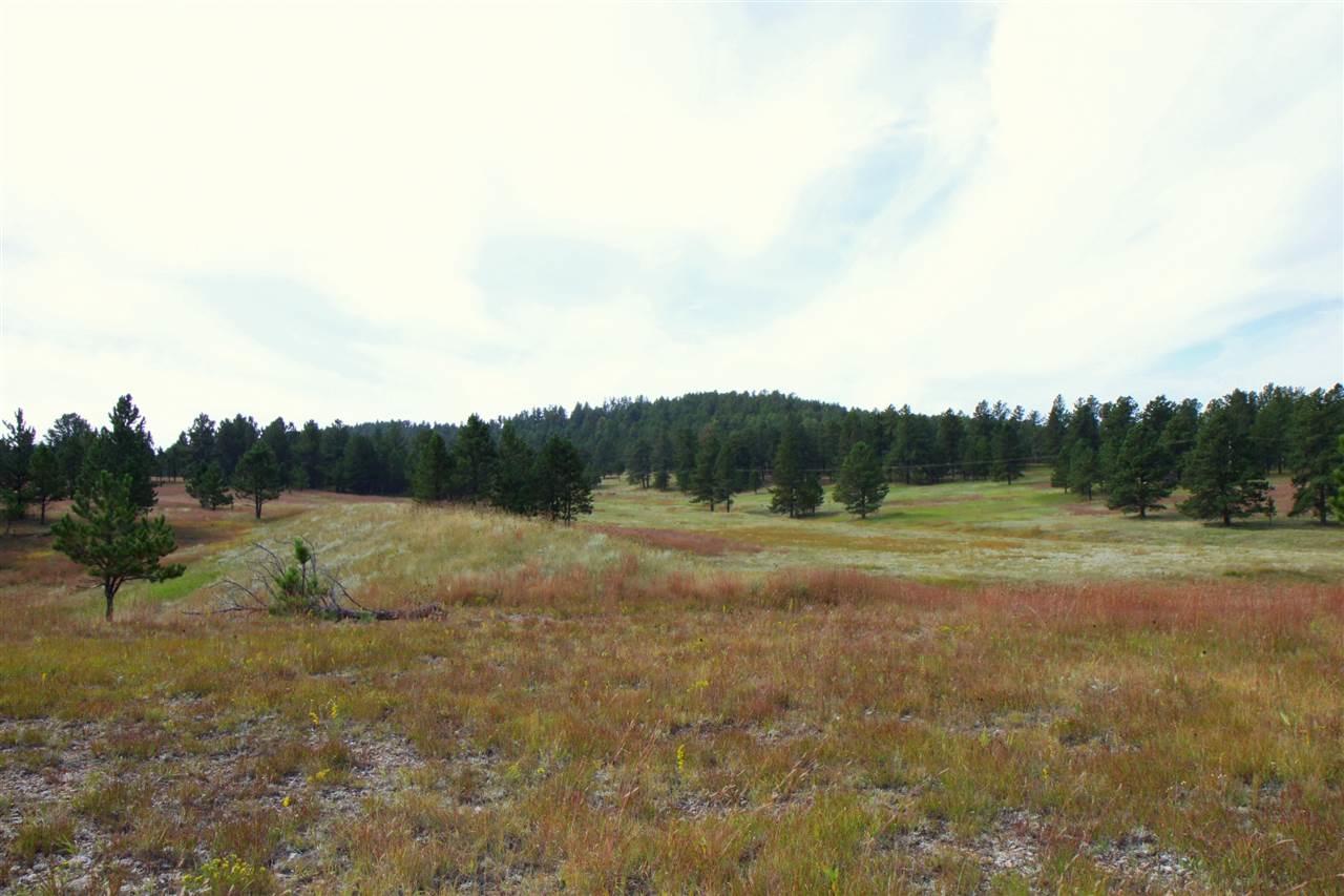 TBD Tract 22 Lone Elk Drive - Photo 1