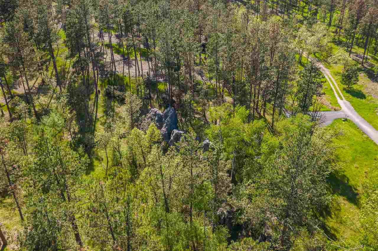 13277 Three Meadows Road - Photo 1