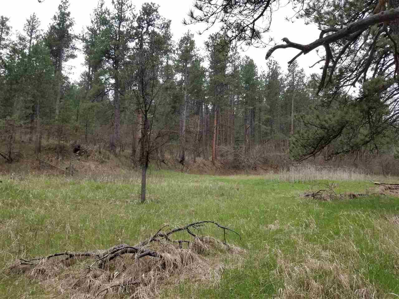 Lot D of 9B Boulder Creek Road - Photo 1