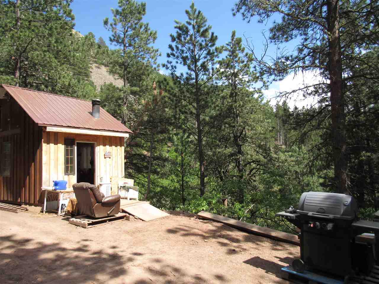 11423 Blacktail Bench Road - Photo 1