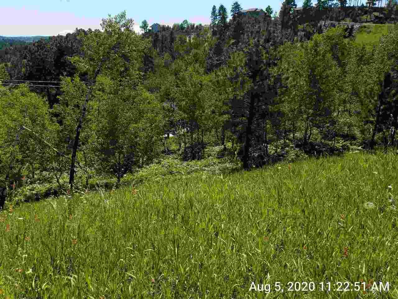 Lot 3 Mountain View - Photo 1