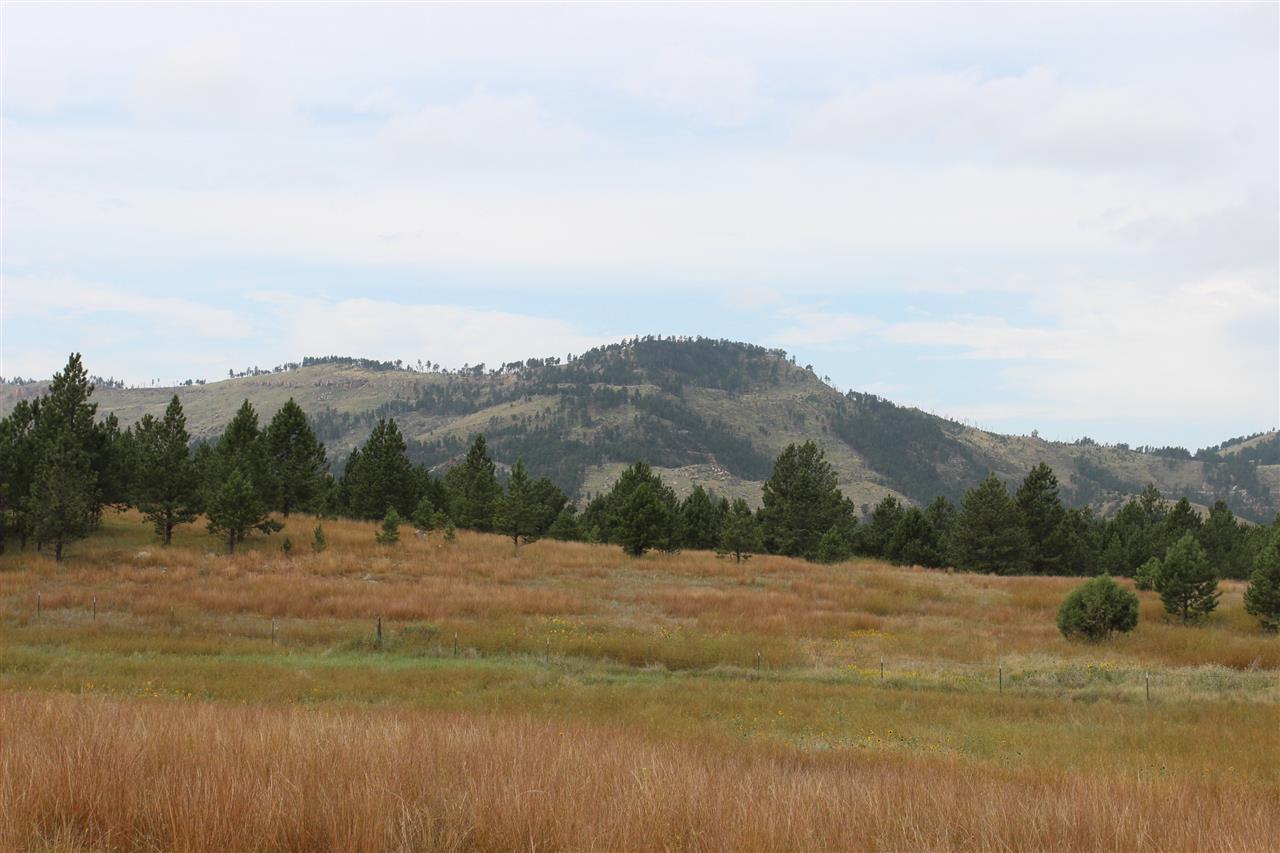 Tr. 71 Mountain Dr. - Photo 1