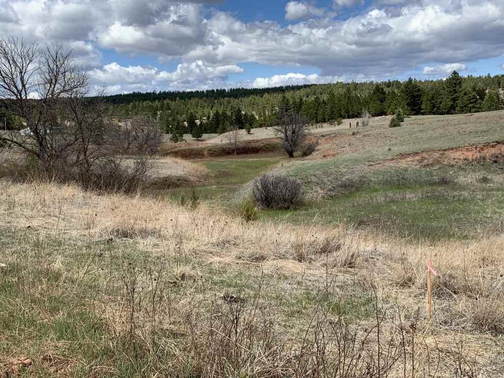 Lots 1 & 2 Red Dirt Road - Photo 1