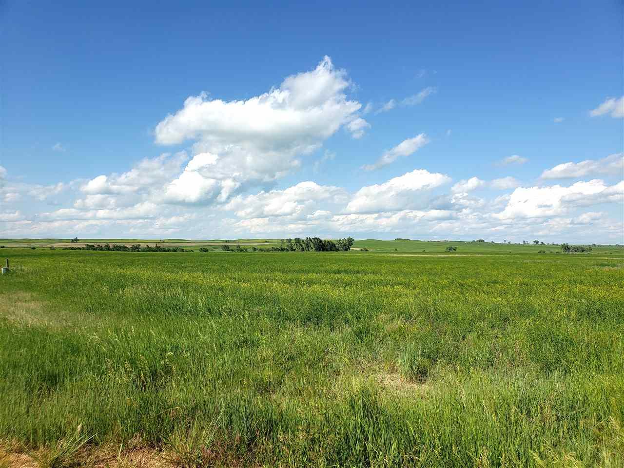 TBD Riley Rd - Photo 1