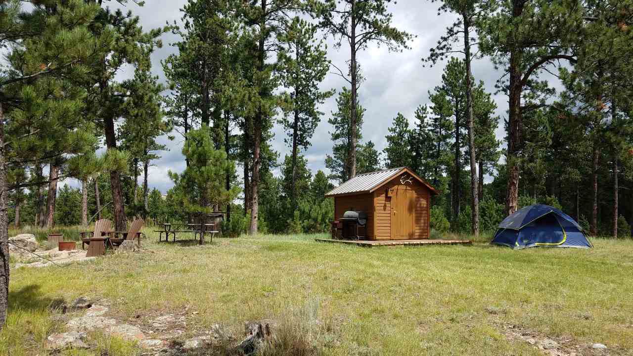 TBD Forest Service Road - Photo 1