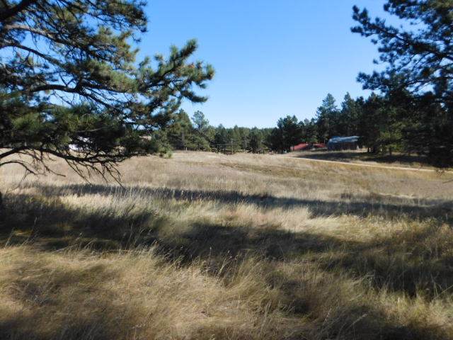 Tract 9 Lone Elk I - Photo 1