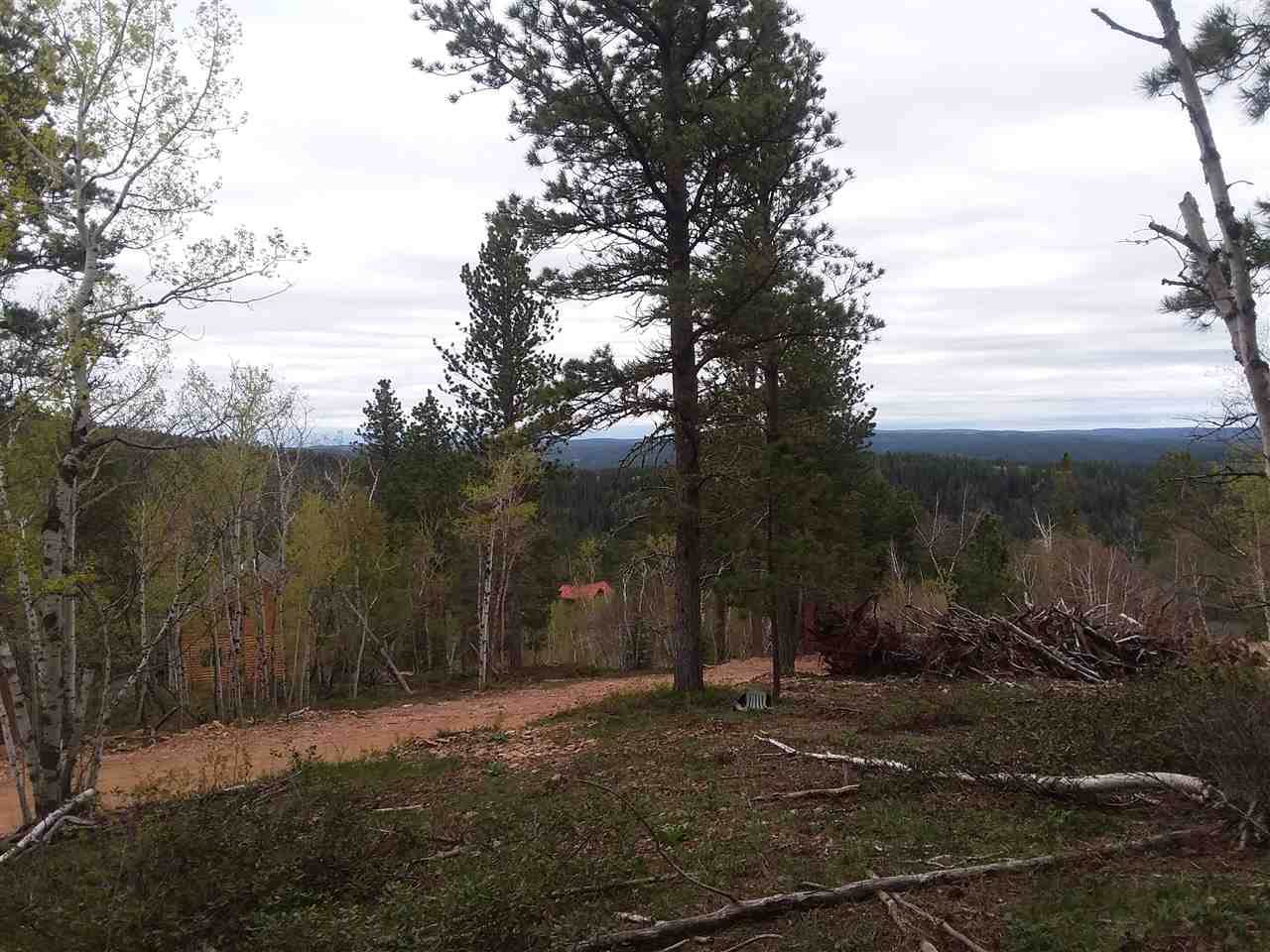 Lot 6 Eagle Trail - Photo 1