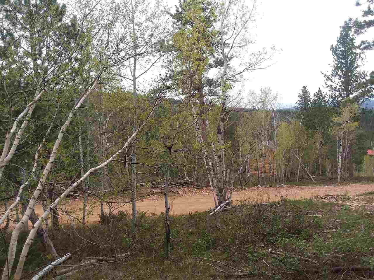 Lot 7 Address Not Published Trail - Photo 1
