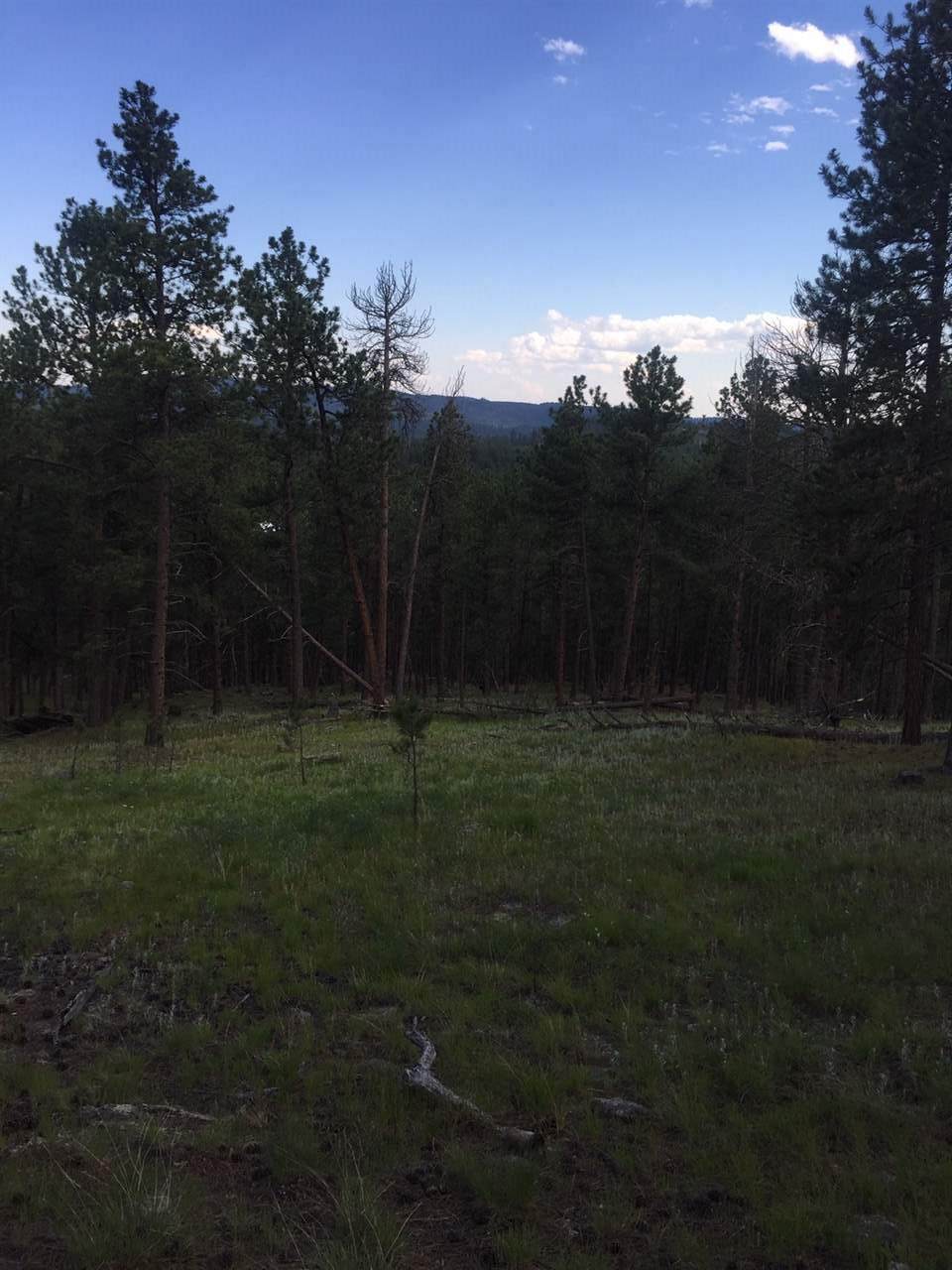25334 Wind Dance Ranch - Photo 1