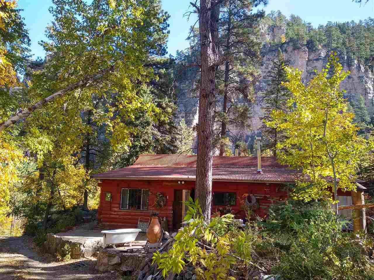 20485 Spearfish Canyon Road - Photo 1