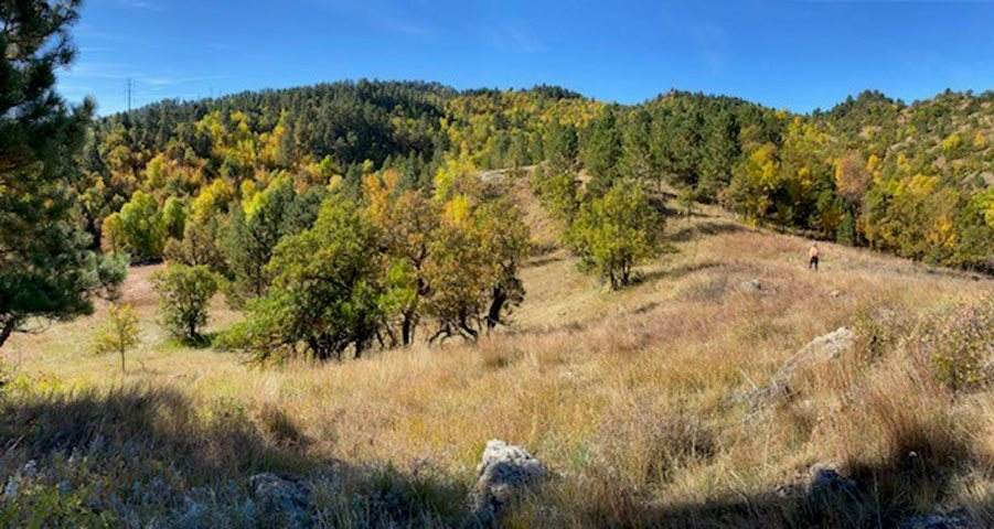 TBD Lookout Vista Road - Photo 1