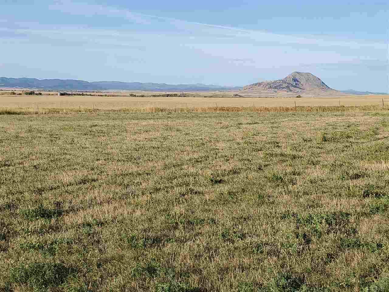 TBD 137th Avenue - Photo 1
