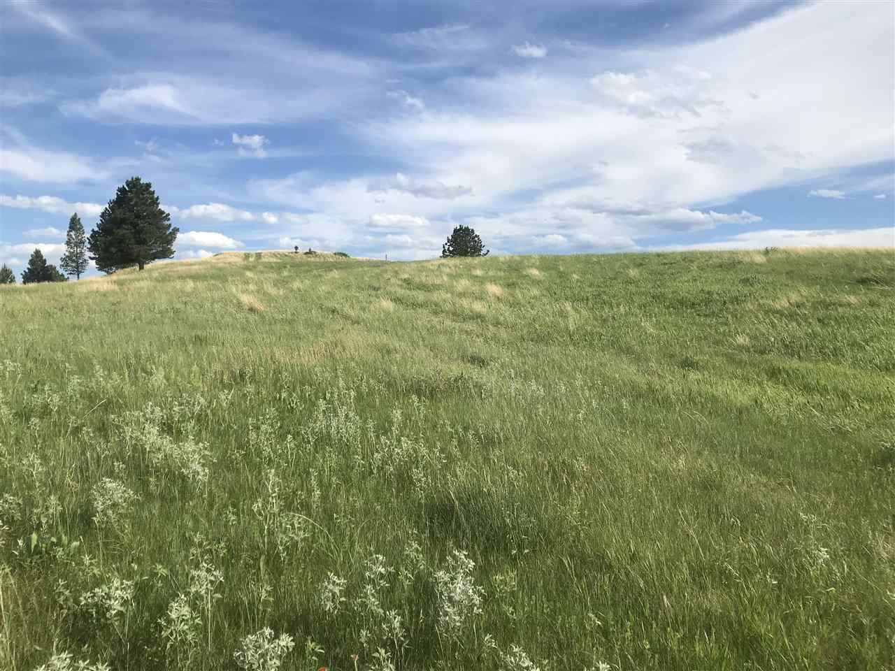 3828 Twisted Oak Road - Photo 1
