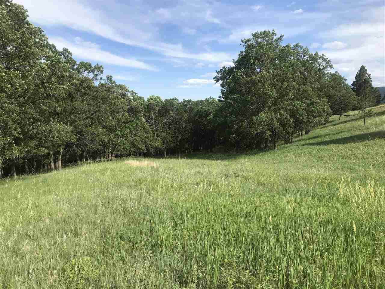 3816 Twisted Oak Road - Photo 1