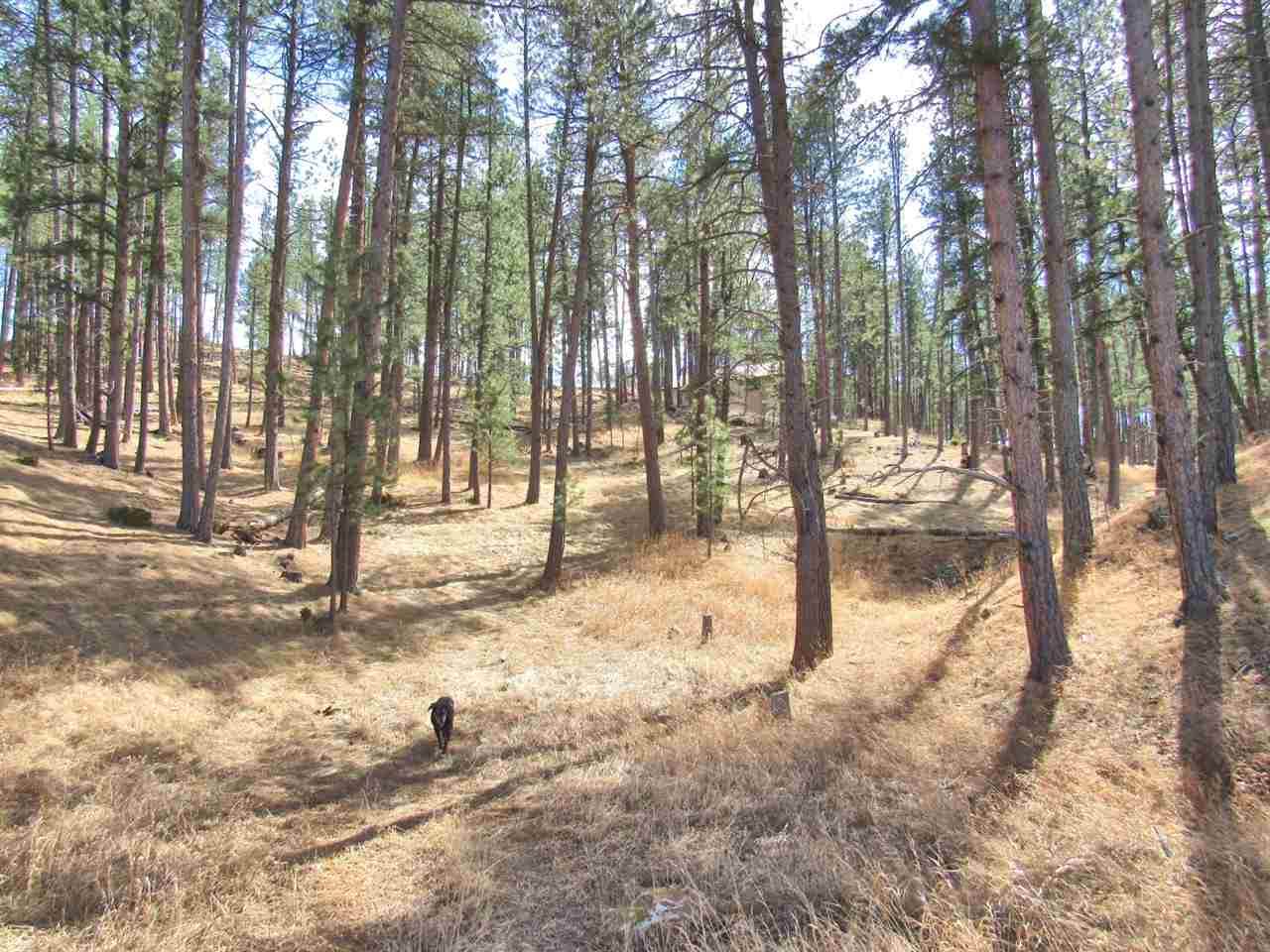 12709 Kennedyville Loop - Photo 1
