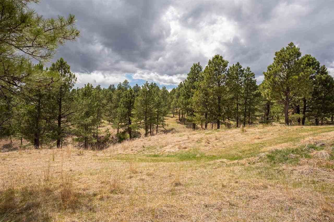 LOT 4B Saddle Ridge Road - Photo 1