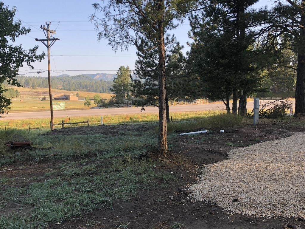 12465 Skyline Drive - Photo 1