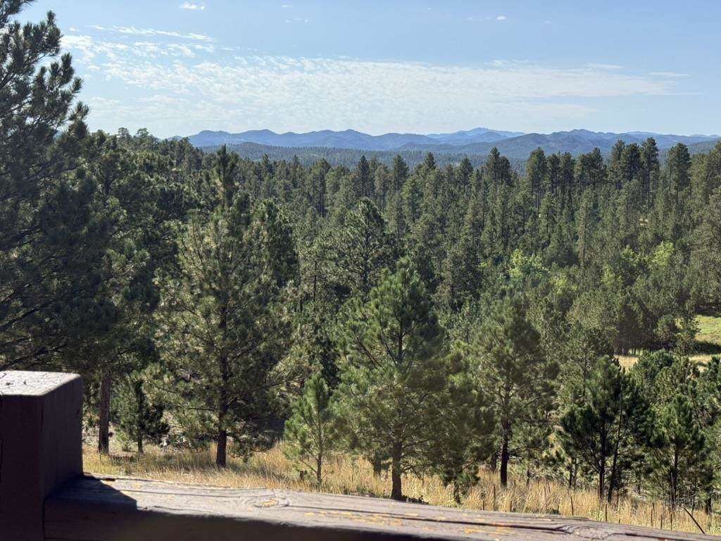 https://bt-photos.global.ssl.fastly.net/mtrushmore/orig_boomver_2_83436-2.jpg