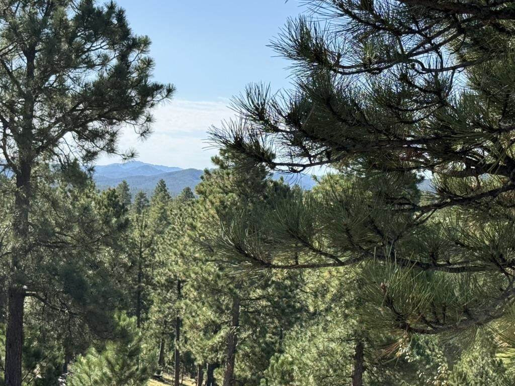 https://bt-photos.global.ssl.fastly.net/mtrushmore/orig_boomver_2_83436-2.jpg