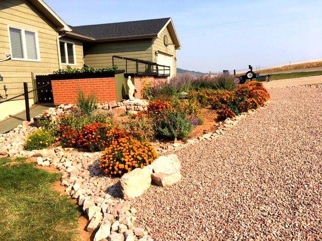 1117 Patriot Place - Photo 1