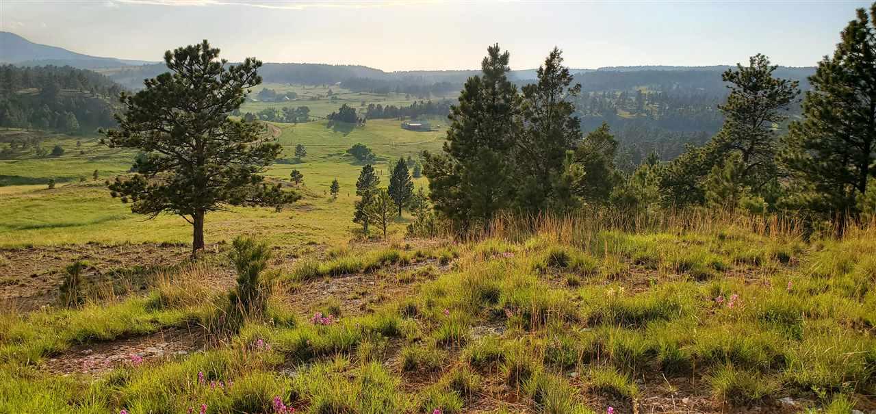 Lots 1 & 2 Red Dirt Road - Photo 1