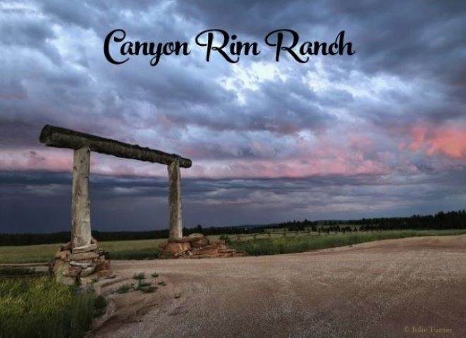 Pronghorn 5 Stage Stop Road - Photo 1