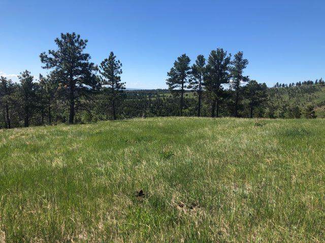 lot 16 Brook Drive - Photo 1