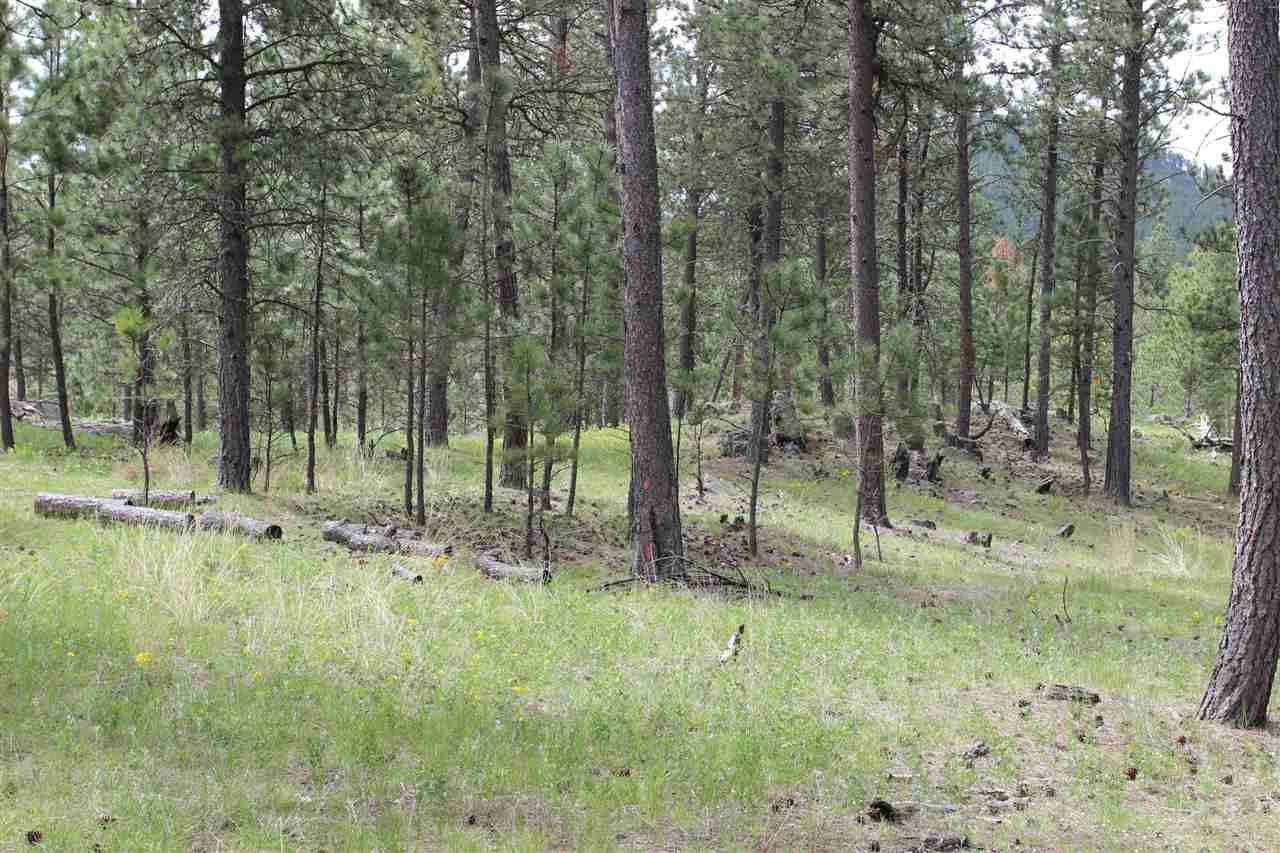 Lot 9 Caledonia Trail - Photo 1