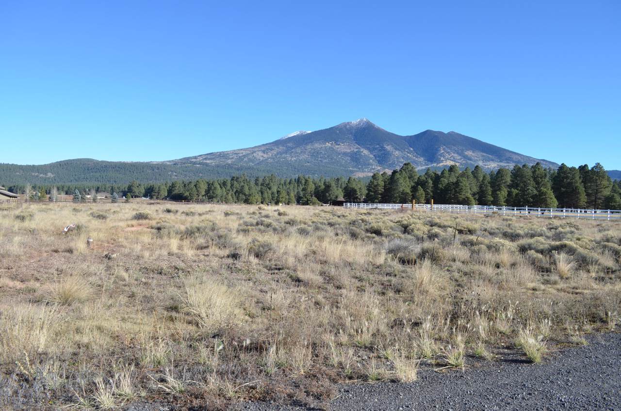 7421 Snow Bowl Road - Photo 1