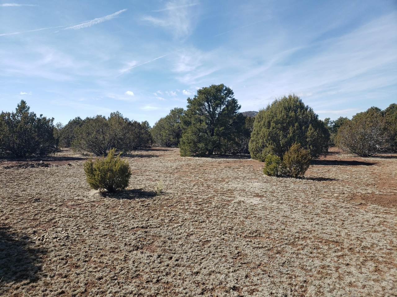 10425 Overlook Drive - Photo 1