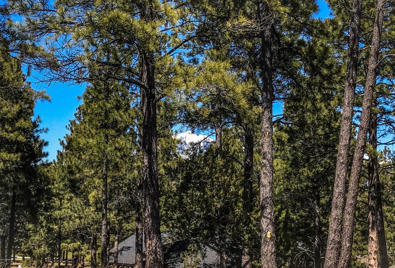 3658 Clubhouse Circle - Photo 1