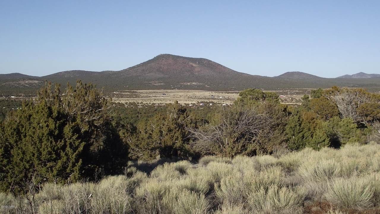 1124 San Marcos Road - Photo 1
