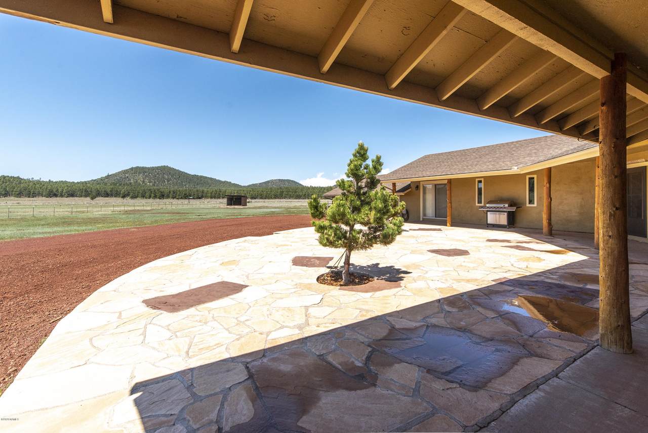 3153 Pine Tree Dr Drive - Photo 1