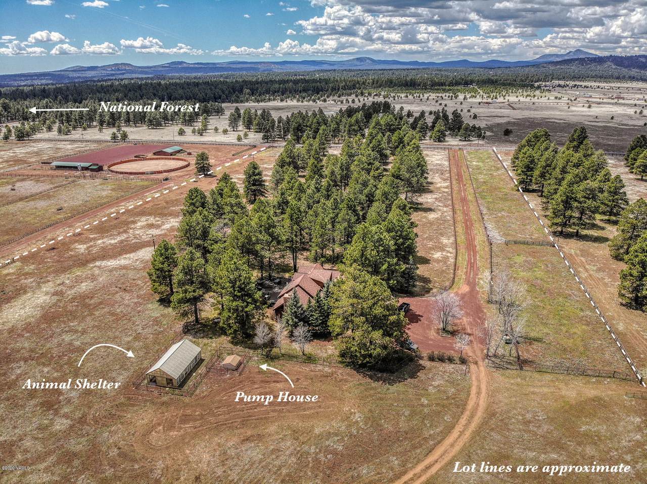 6663 Boy Scout Camp Road - Photo 1