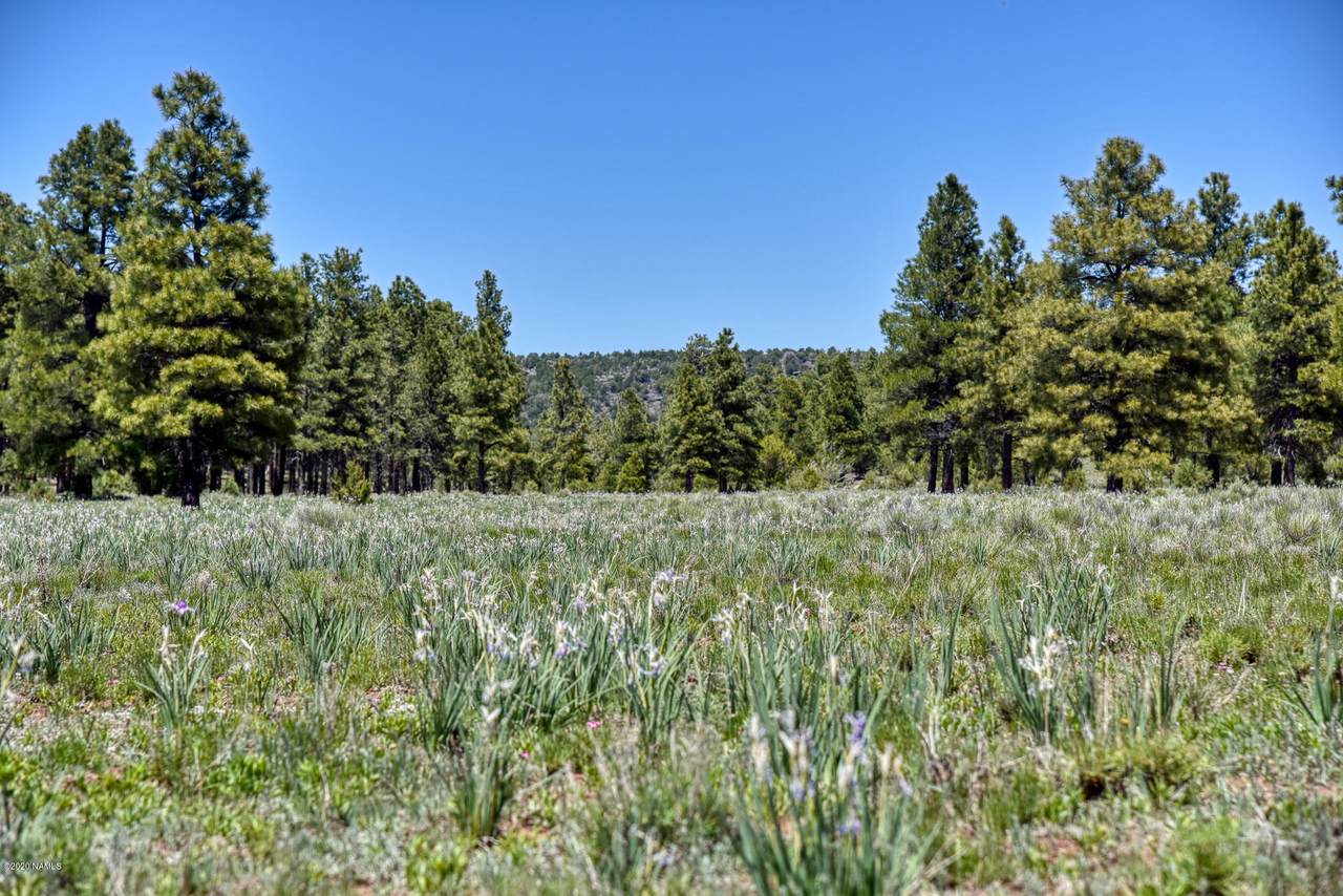 1950 Forest Service 3523 Road - Photo 1