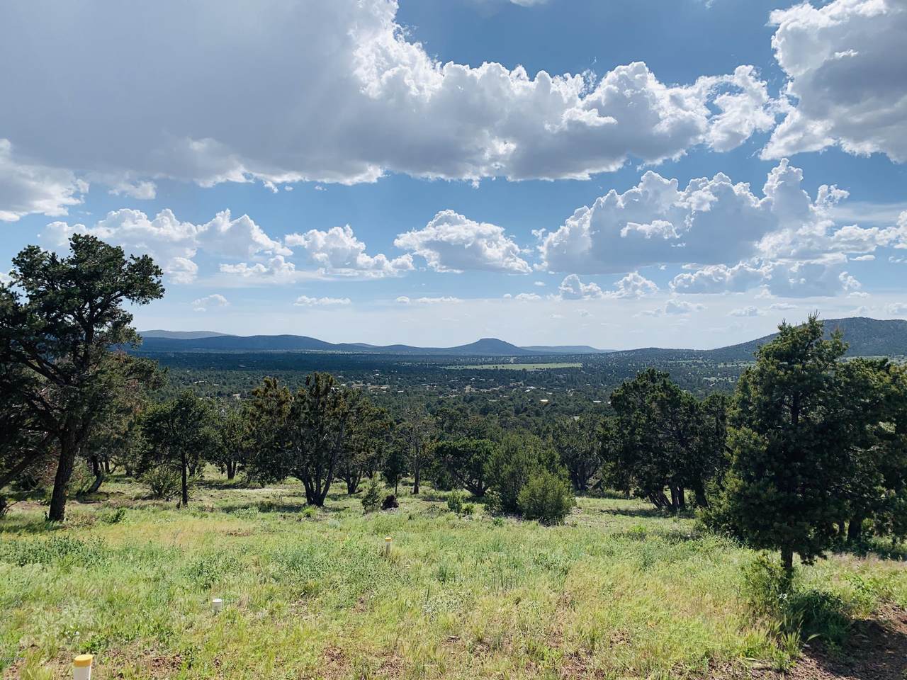 793 Shooting Star Lane - Photo 1