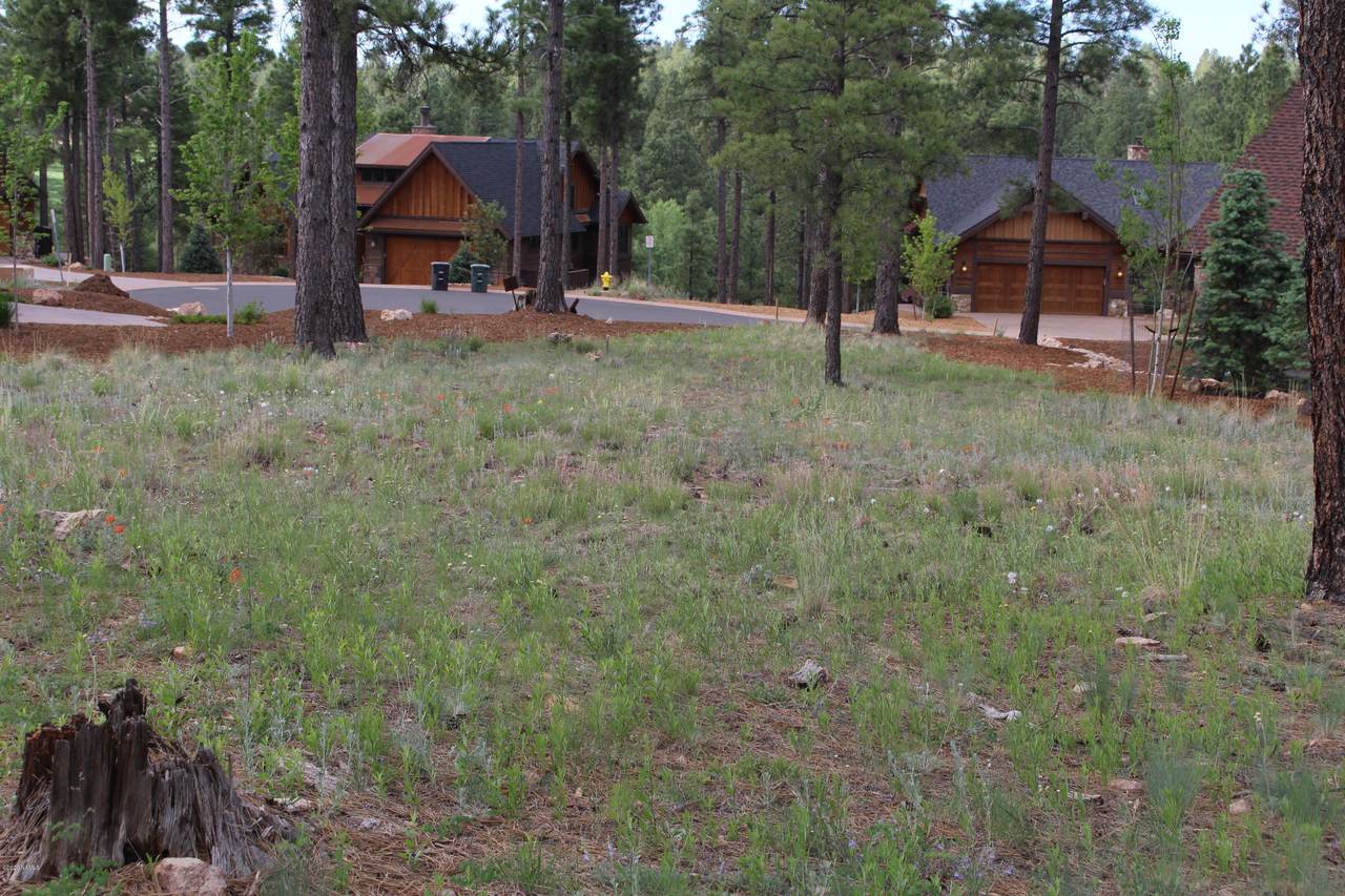 2625 Bluebird Court - Photo 1
