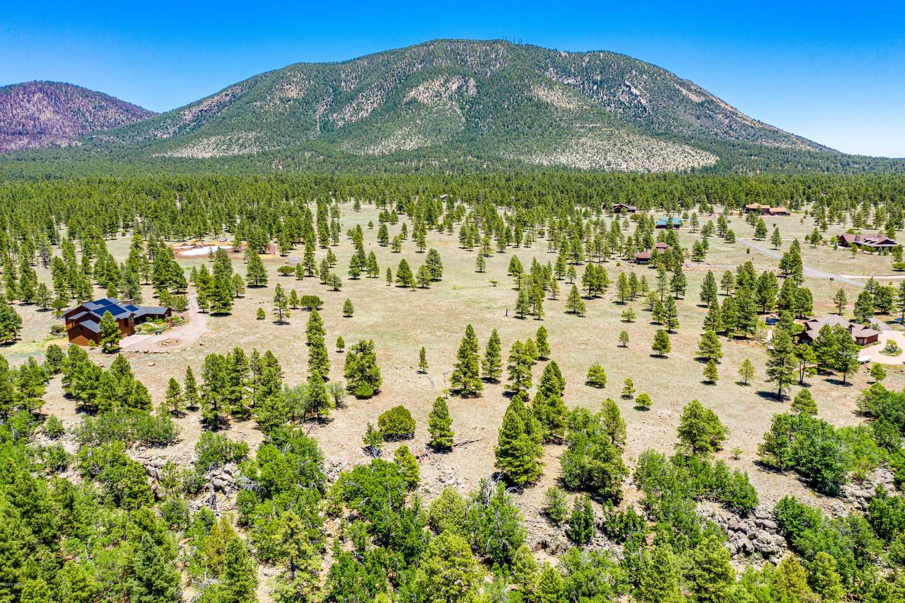 3373 Cione Ranch Road - Photo 1