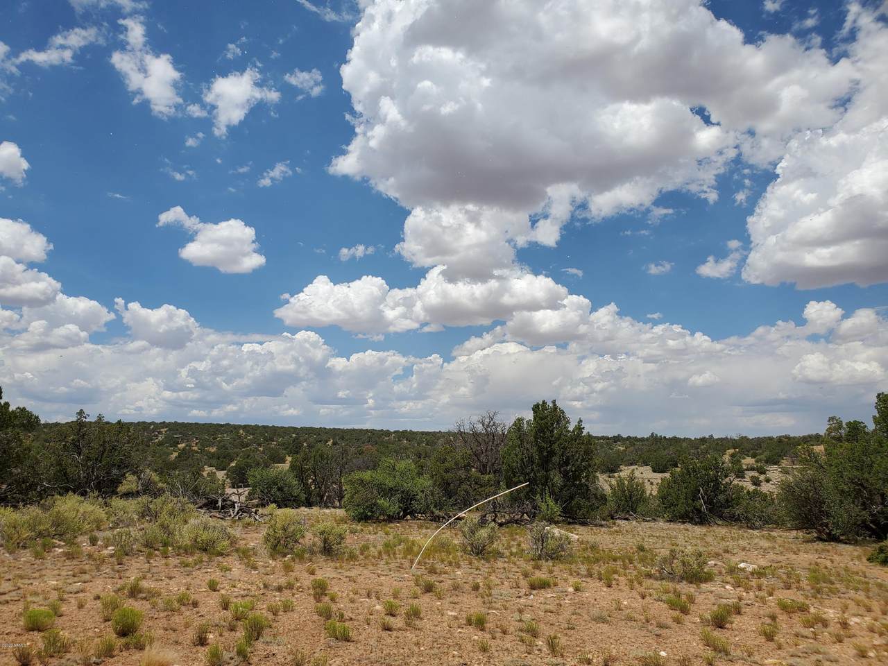 5463 Estrella Road - Photo 1