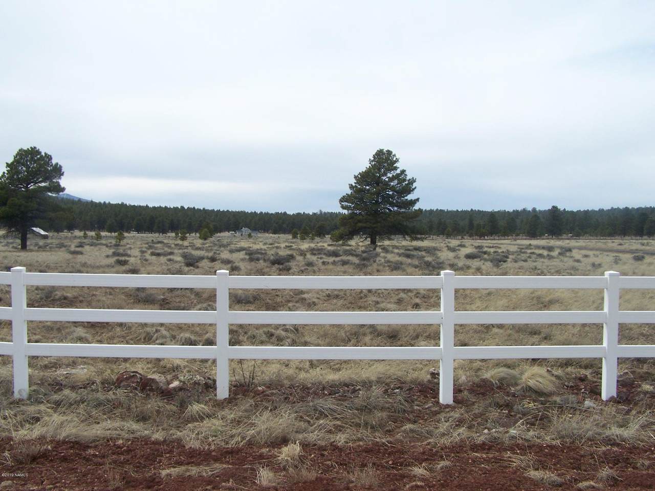 799 Appaloosa Trail - Photo 1