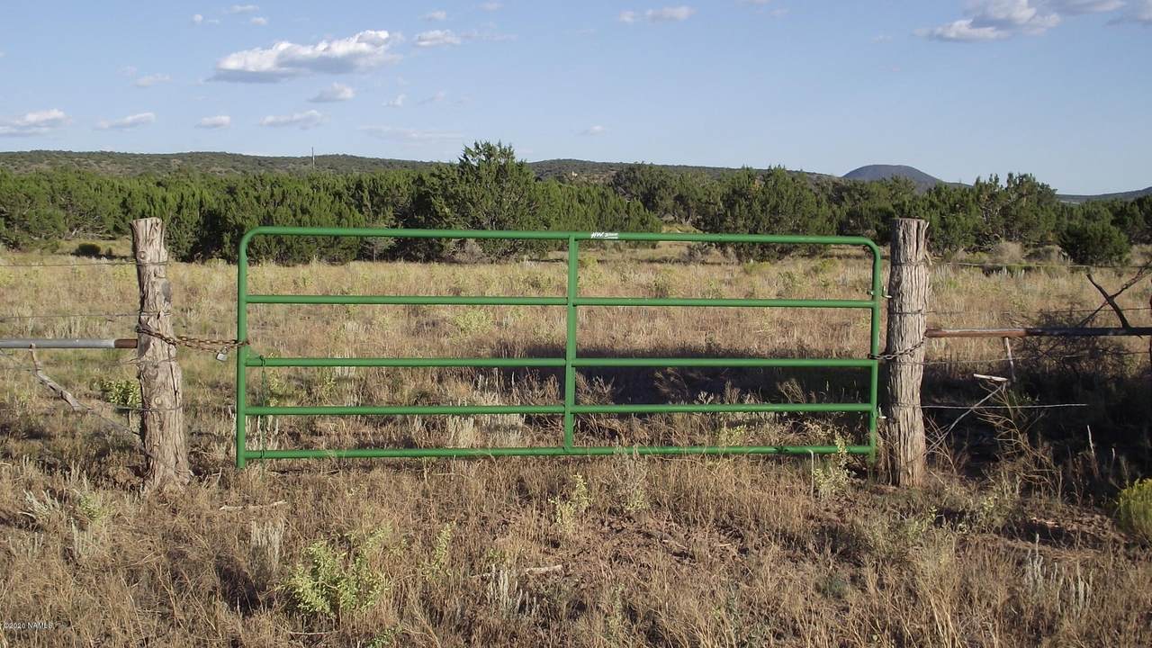 4354 Whitetail Loop - Photo 1