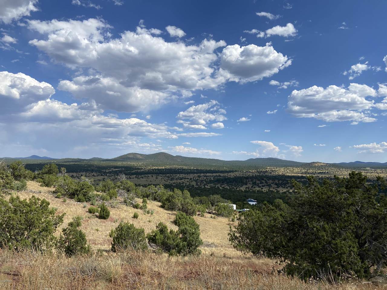 1843 Sagebrush Road - Photo 1