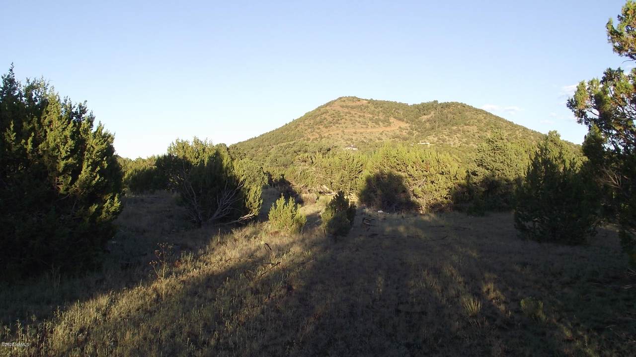 6809 Isabella - Photo 1